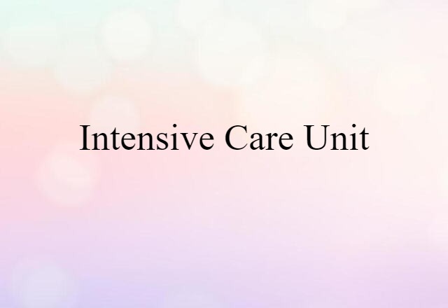 Intensive Care Unit (noun) Definition, Meaning & Examples