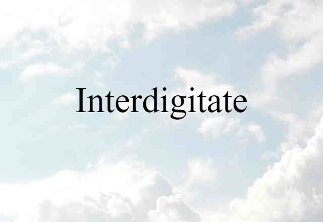 Interdigitate (noun) Definition, Meaning & Examples