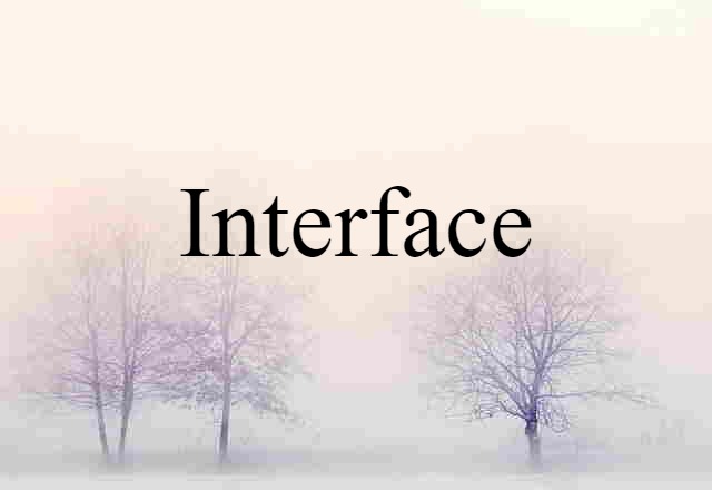 Interface (noun) Definition, Meaning & Examples