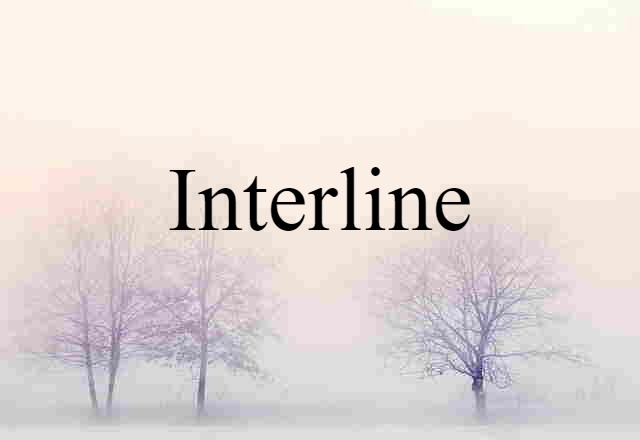 Interline (noun) Definition, Meaning & Examples