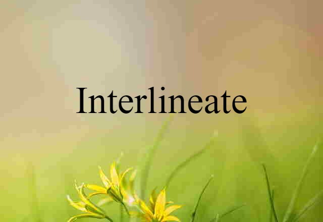 Interlineate (noun) Definition, Meaning & Examples