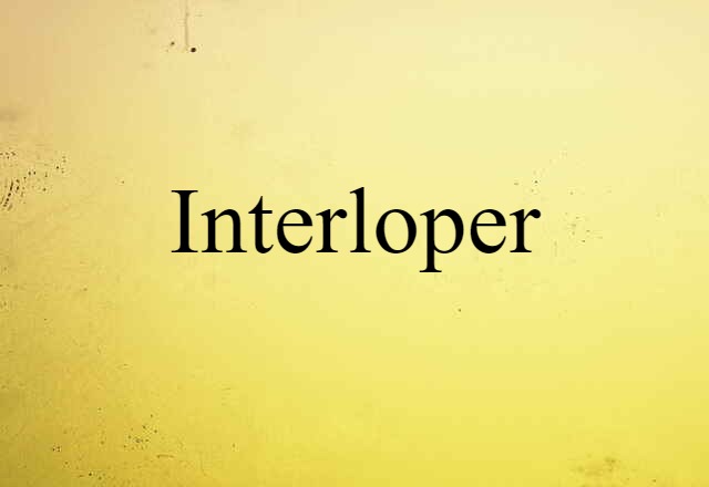 Interloper (noun) Definition, Meaning & Examples