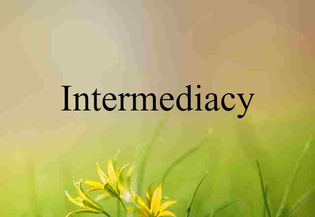 Intermediacy (noun) Definition, Meaning & Examples