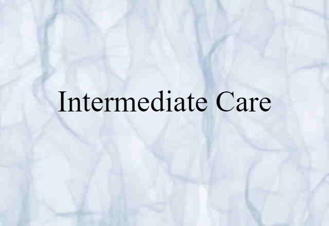 Intermediate Care (noun) Definition, Meaning & Examples