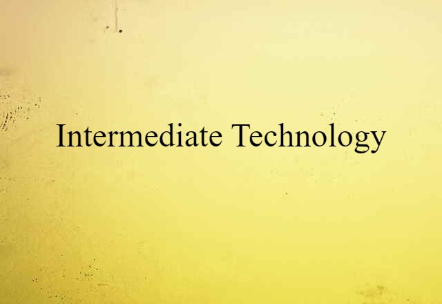 Intermediate Technology (noun) Definition, Meaning & Examples