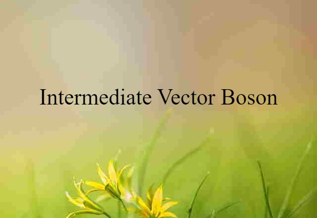 intermediate vector boson