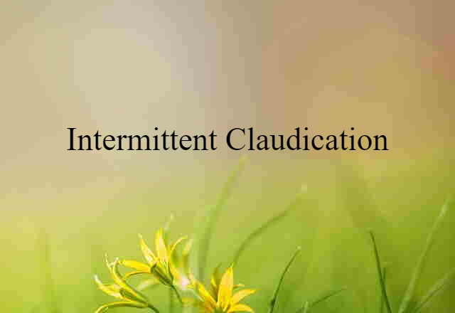 Intermittent Claudication (noun) Definition, Meaning & Examples