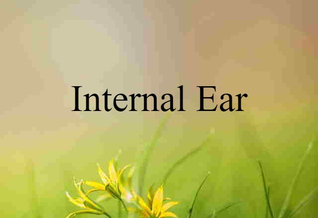 internal ear