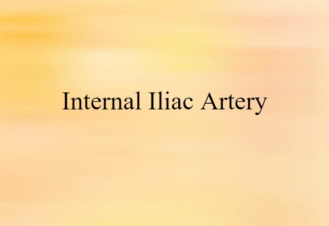 Internal Iliac Artery (noun) Definition, Meaning & Examples