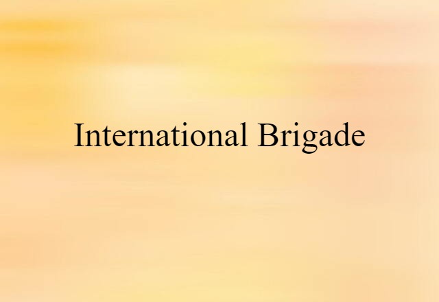 International Brigade (noun) Definition, Meaning & Examples