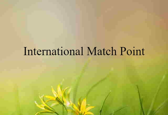 International Match Point (noun) Definition, Meaning & Examples