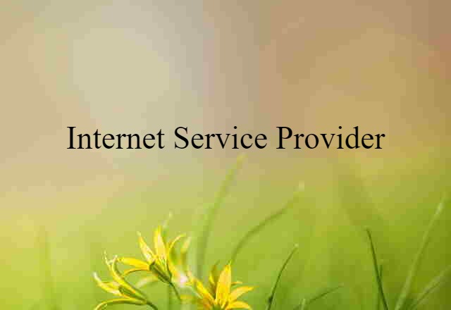 Internet Service Provider (noun) Definition, Meaning & Examples