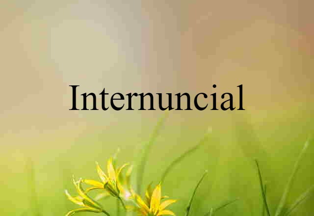 Internuncial (noun) Definition, Meaning & Examples