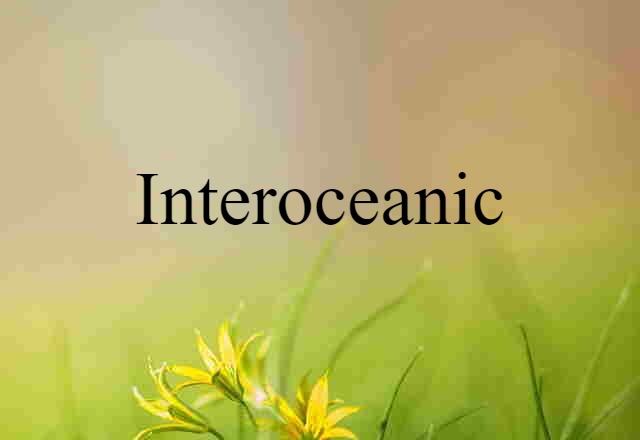 Interoceanic (noun) Definition, Meaning & Examples