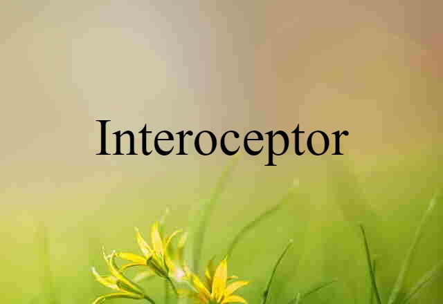 interoceptor