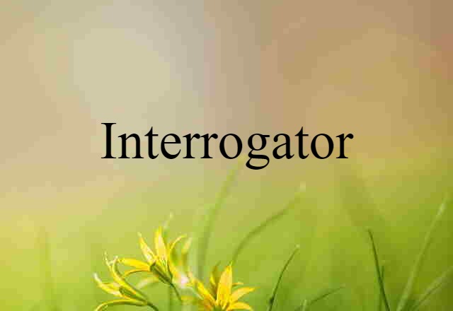 Interrogator (noun) Definition, Meaning & Examples