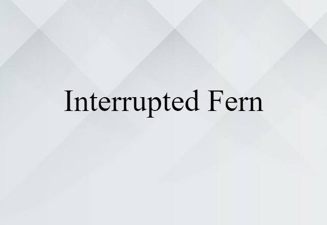 interrupted fern