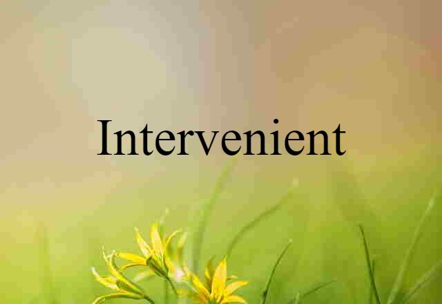 Intervenient (noun) Definition, Meaning & Examples