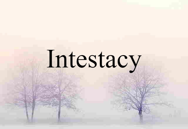 Intestacy (noun) Definition, Meaning & Examples