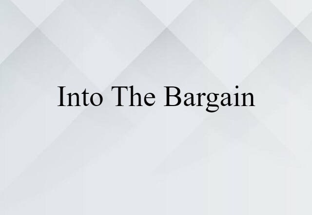 Into The Bargain (noun) Definition, Meaning & Examples