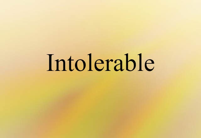 Intolerable (noun) Definition, Meaning & Examples