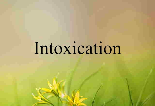 Intoxication (noun) Definition, Meaning & Examples