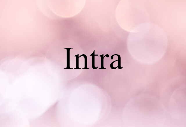 Intra (noun) Definition, Meaning & Examples