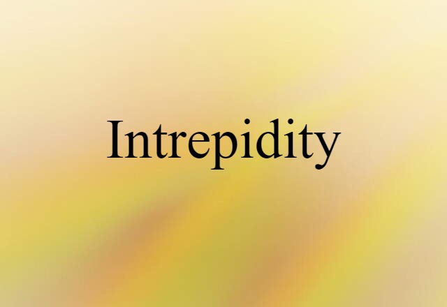 Intrepidity (noun) Definition, Meaning & Examples