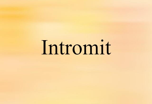 Intromit (noun) Definition, Meaning & Examples