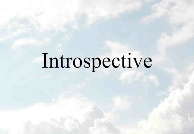 Introspective (noun) Definition, Meaning & Examples