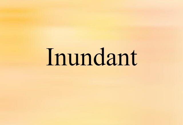 Inundant (noun) Definition, Meaning & Examples