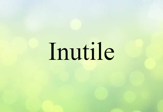 Inutile (noun) Definition, Meaning & Examples