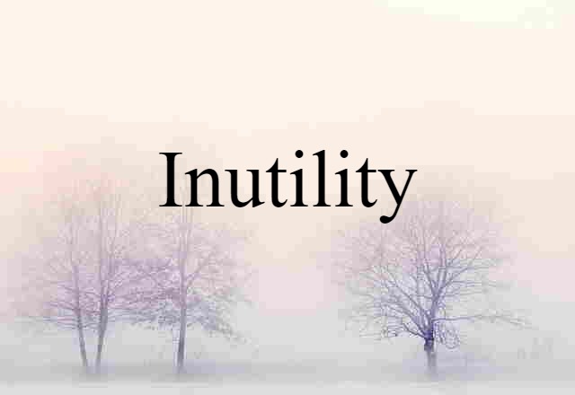 Inutility (noun) Definition, Meaning & Examples