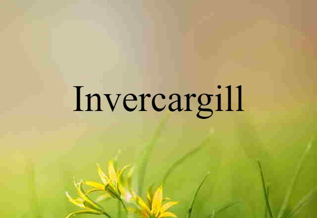 Invercargill (noun) Definition, Meaning & Examples