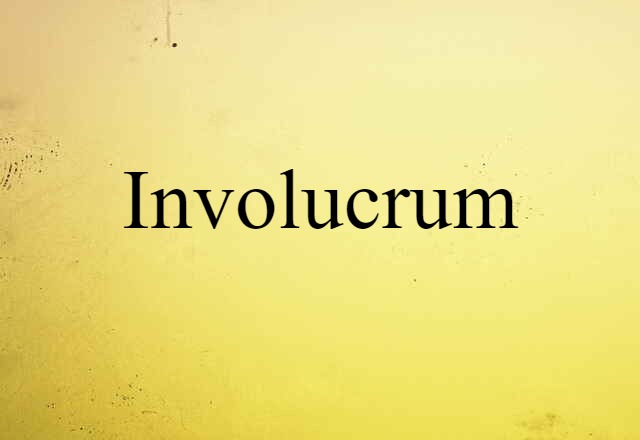 involucrum