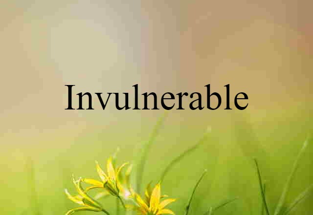 Invulnerable (noun) Definition, Meaning & Examples