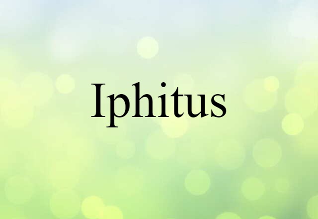 Iphitus