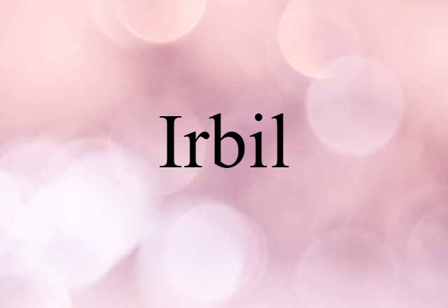 Irbil (noun) Definition, Meaning & Examples