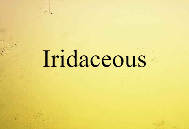 Iridaceous (noun) Definition, Meaning & Examples