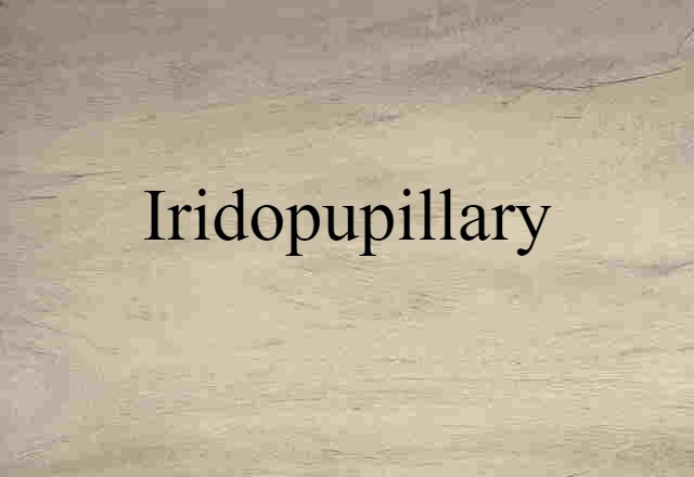 Iridopupillary (noun) Definition, Meaning & Examples