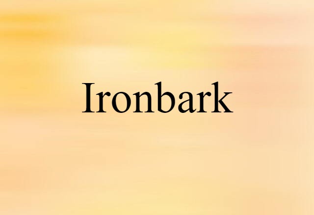 Ironbark (noun) Definition, Meaning & Examples