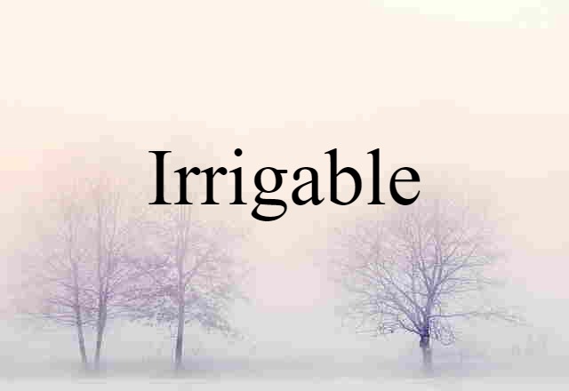 Irrigable (noun) Definition, Meaning & Examples