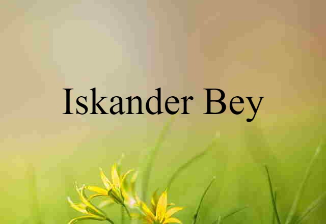 Iskander Bey (noun) Definition, Meaning & Examples