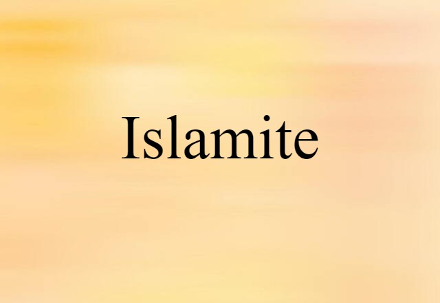 Islamite (noun) Definition, Meaning & Examples