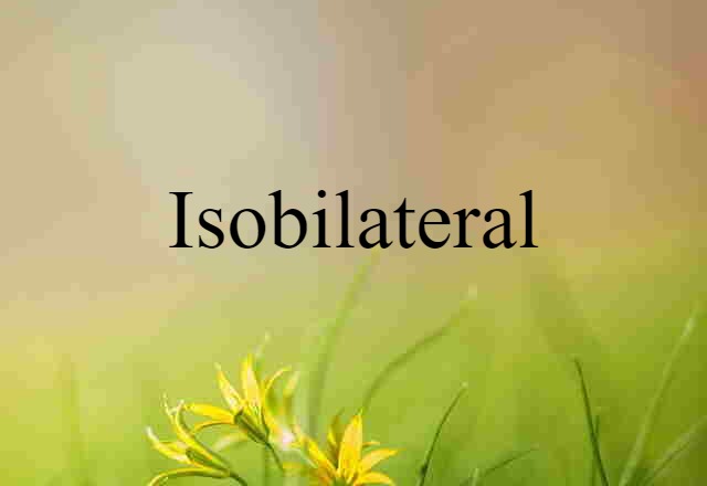 isobilateral