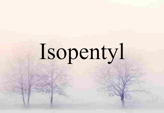 Isopentyl (noun) Definition, Meaning & Examples