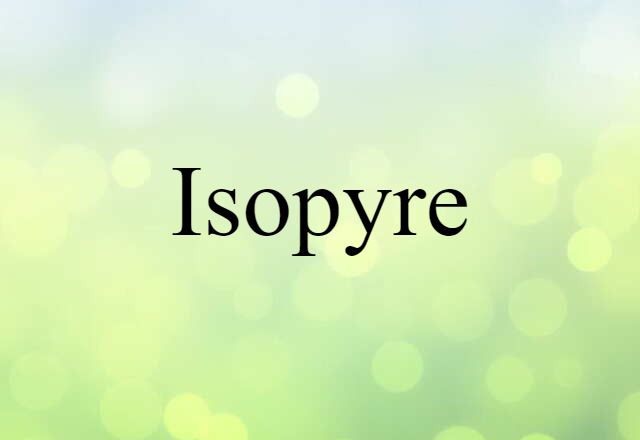 Isopyre (noun) Definition, Meaning & Examples