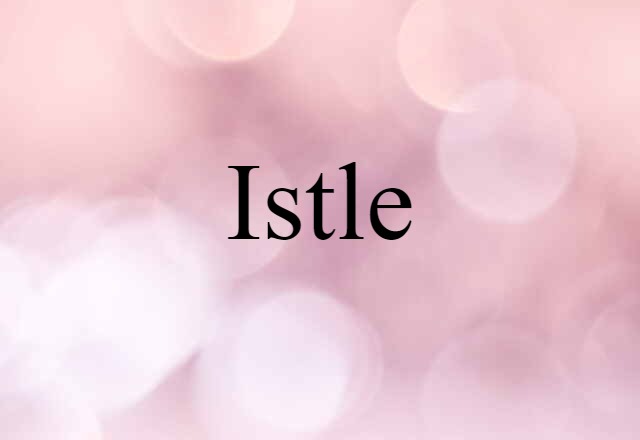 Istle (noun) Definition, Meaning & Examples