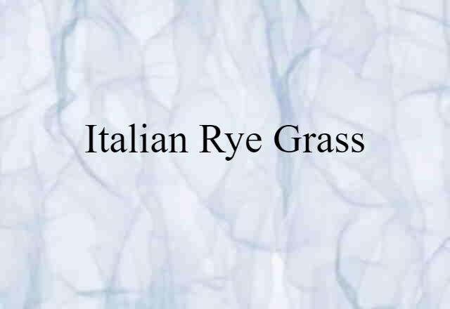 Italian rye grass