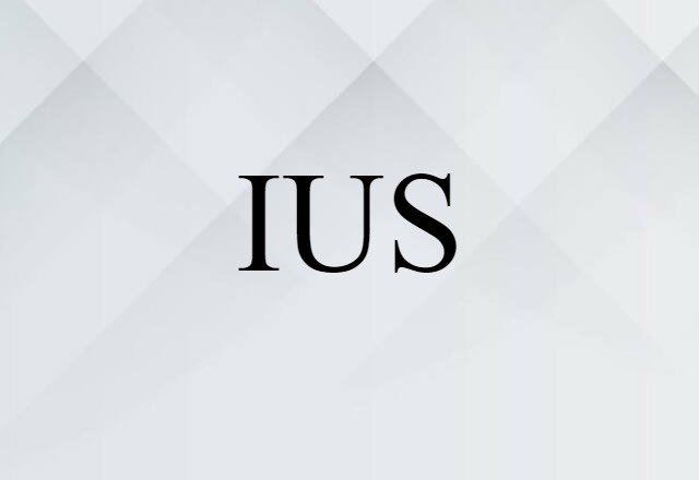 IUS (noun) Definition, Meaning & Examples